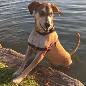 Meet your Posher, Alicia